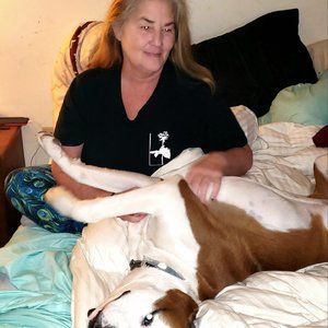 Meet your Posher, Virginia